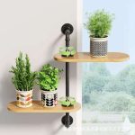 Stylish Indoor Wall Plant Holder: A Must-Have Home Decor Accessory