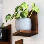 Innovative Wall Plant Holders for Stylish Home Decor