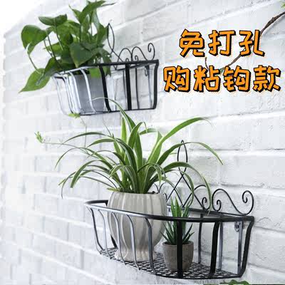 Elegant Metal Wall Plant Holder: A Stylish Home Decor Solution